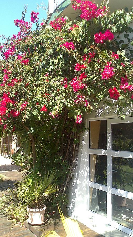 Cape Oasis Guesthouse Bloubergstrand Kültér fotó